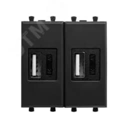 Avanti USB зарядное устройство модульное, , Черный матовый, 2 модуля