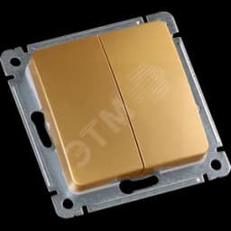 MASTER Переключатель двухклавишный скрытой установки, в рамку, золото