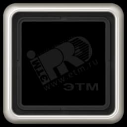 Рамка 1 пост универсальная платина