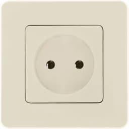 Розетка 1-м СП Inspiria 16А IP20 250В 2P механизм сл. кость Leg 673711