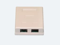 Розетка комбинированная RJ-45 + RJ-11 REXANT 03-0120