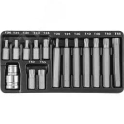 Набор вставок-бит 10 мм DR TORX® с переходниками, 15 предметов