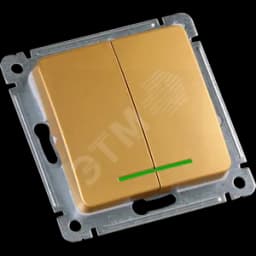 MASTER Выключатель двухклавишный с индикацией, скрытой установки, в рамку, золото