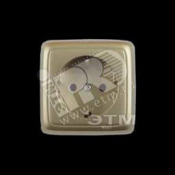 Розетка наружная с заземлением с изоляционной пластиной золото