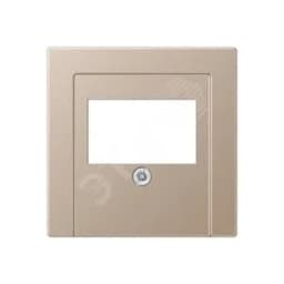 Накладка для USB розетки (ТАЕ гнезда) Серия A500 Материал- дуропласт Цвет- шампань
