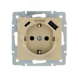 VESNA Розетка с/з TC+USB разъём золото