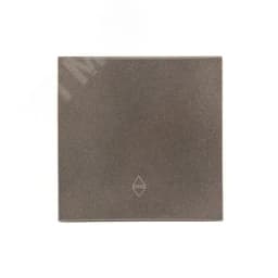 Валенсия лицевая панель выключателя проходного 1-кл. 10А графит EKF