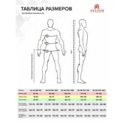 Костюм мужской Фаворит-2 летний, куртка, полукомбинезон, темно-серый с серым, р. 56-58/158-164