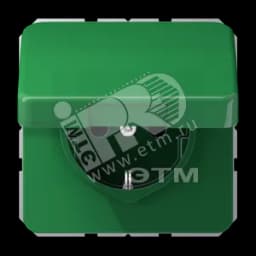 Крышка откидная для штепсельных розеток и изделий с платой 50х50мм зеленая JUNG