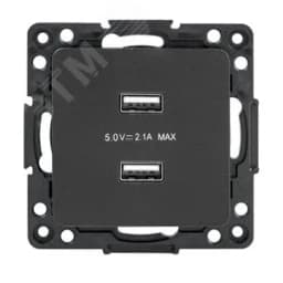 Стокгольм Механизм Розетки USB 2-местной 2,1А черный