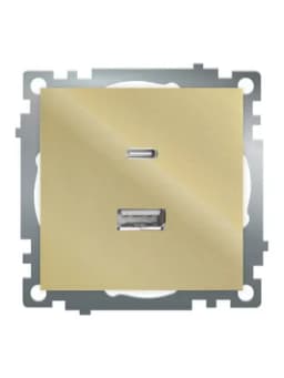 Розетка 2местная USB type C механизм 250В 3А max 20W STEKKER GLS10711608 серия Катрин золото 50053