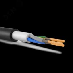 Кабель силовой ВВГнг(А)-LSLTx 3х6ок(N.PE)-0.66 ТРТС