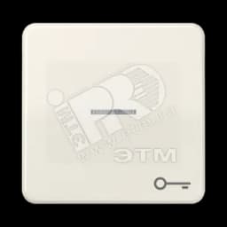 Клавиша с окошком и символом ключ для выключателей с подсветкой слоновая кость JUNG