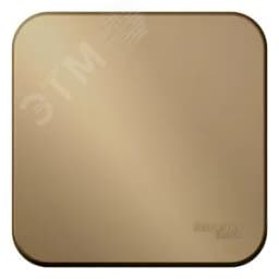 Выключатель одноклавишный наружный BLАNCА (cх.1) с самовозвратом, с изолирующей пластиной, 10А, титан