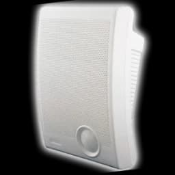 Громкоговоритель TSo-SW10a Tantos