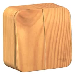 Выключатель 2-кл. ОП Blanca 10А IP20 (сх. 5) 250В с изолир. пластиной ясень SE BLNVA105015