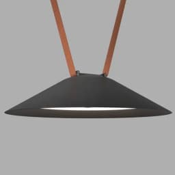 Накладной светильник Denkirs BELTY FLOW DK5564BK