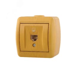 Ната Розетка компьютерная ольха