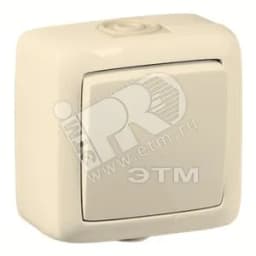 Переключатель одноклавишный наружный слоновая кость 16А