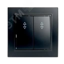 Переключатель двухклавишный, 250В, 10А, серия Эрна, черный Stekker