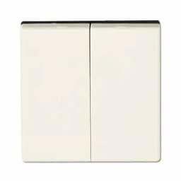 Клавиша 2-я для двухклавишных выключателей без подсветки. Для механизмов- EP405U, EP409U. Серия- Eco Profi. Материал- термопласт. Цвет- слоновая кость. JUNG