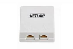 Розетка RJ-45, 2 порта, категория 5е, белая (10 шт/уп) NETLAN EC-UWO-2-UD2-WT-10