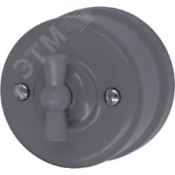 Выключатель Лизетта Перекрестный, пластик, цвет Титан