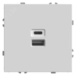 Розетка 2-местная USB + Type C (механизм), 250В, 20W, серия Эмили, белый фарфор, soft touch