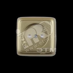 Розетка наружная со шторками с изоляционной пластиной золото