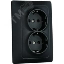 Розетка Bravo 2-ой с/з с з/ш, механизм, 16А, 250В, графит