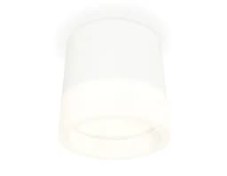 Комплект накладного светильника с акрилом Ambrella Light XS8110001