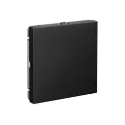 Заглушка ArtGallery без суппорта для многопост. рамок карбон SE GAL001009