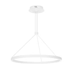 Светильник SPCONGOCAN1R60036W Day4000 WH 120 deg 230V Arlight IP20 Металл 5 лет 046230