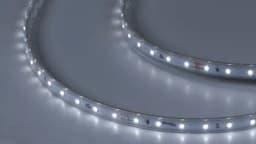 Светодиодная лента LUX 3528 60 LEDм 48 Втм 24В IP65 6000K DSG36024W65