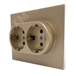 Розетка двухпостовая Ugra с/з с з/ш, механизм, 16А, 250В, шампань