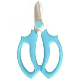 Ножницы садовые для цветов СКРАП