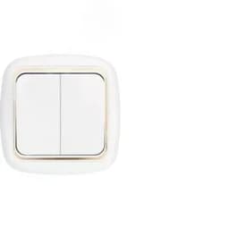 Беларусь Выключатель двухклавишный для управления цепями с 2-х и более мест С(6+6)10-843 БелТИЗ