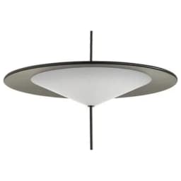 Подвесной светильник Odeon Light Steka 501216L