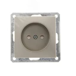 W59 Розетка скрытая без заземления в рамку шампань RS16-151-4-86 Systeme Electric