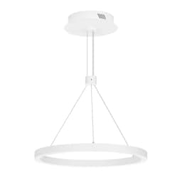 Светильник SPCONGOCAN1R40024W Day4000 WH 120 deg 230V Arlight IP20 Металл 5 лет 046213