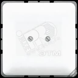 Крышка глухая с опорным кольцом платина JUNG