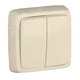 Выключатель двухклавишный наружный с изоляционной пластиной слоновая кость 16А