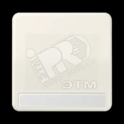 Клавиша для выключателя и кнопки с полем для надписи слоновая кость JUNG