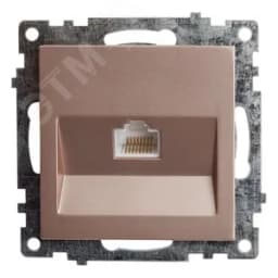 Розетка компьютерная 1-местная RJ-45 (механизм), серия Катрин, шампань 39599 FERON