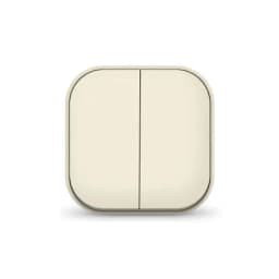 Выключатель 2-кл. 1п ОП 10А IP20 сл. кость IONICH 1425