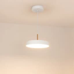 Светильник SP-ELEGANT-R300-17W Warm3000 (WH, 120 deg, 230V) (Arlight, IP20 Металл, 3 года)