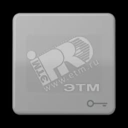 Клавиша с символом ключ серая JUNG