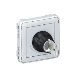 Plexo Выключатель с ключом 2контакта НО серая