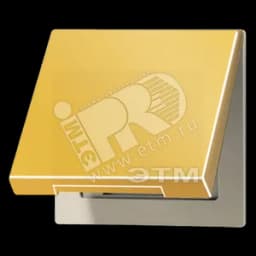 Крышка откидная для штепсельных розеток с платой 50?50 мм  металл цвета золота JUNG