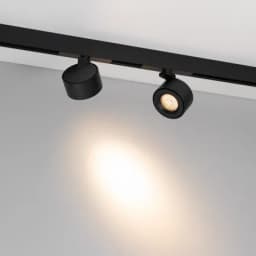 Светильник MAG-ORIENT-POINT-R80-12W Warm3000 (BK, 18 deg, 48V) (Arlight, IP20 Металл, 5 лет)